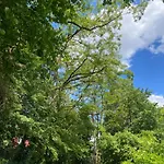La Des Oiseaux - Pierre *