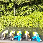 Сasa de vacaciones La Des Oiseaux - Pierre La Petite-Pierre