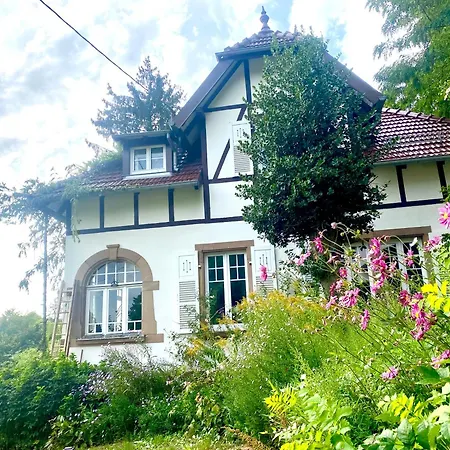 La Des Oiseaux - Pierre *