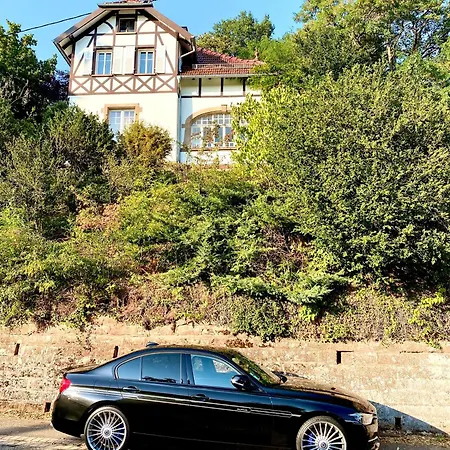 Casa de Férias La Des Oiseaux - Pierre *