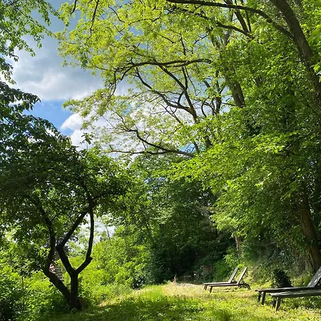 La Des Oiseaux - Pierre