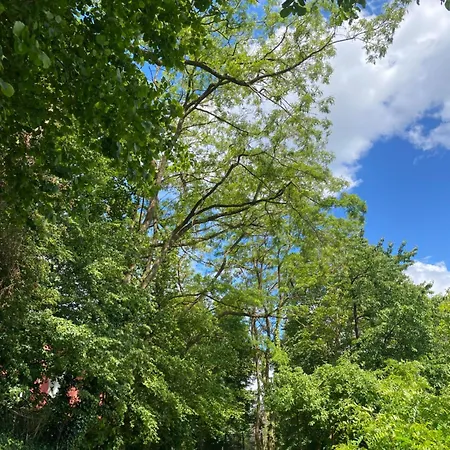 La Des Oiseaux - Pierre *