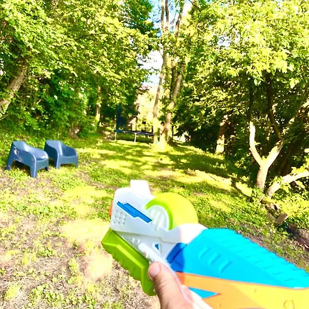 La Des Oiseaux - Pierre *