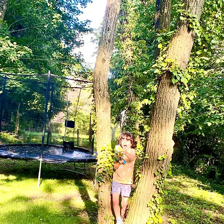 La Des Oiseaux - Pierre * La Petite-Pierre