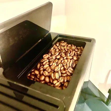 La Des Oiseaux - Pierre Casa de Férias